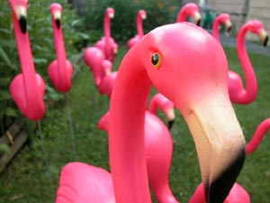 getflocked_group